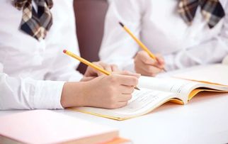 還在擔心上學難？專業教育咨詢助您輕松應對